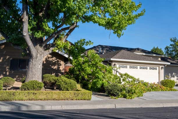 Storm Damage Cleanup